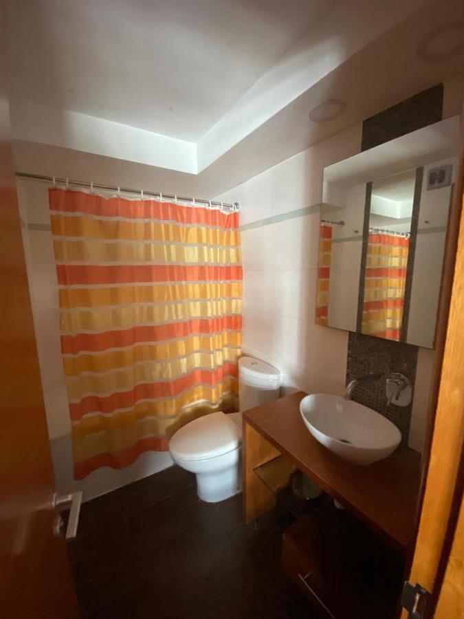 Departamento 2 Ambientes Mas Terraza Amoblada, Providencia Apartment Santiago Ngoại thất bức ảnh